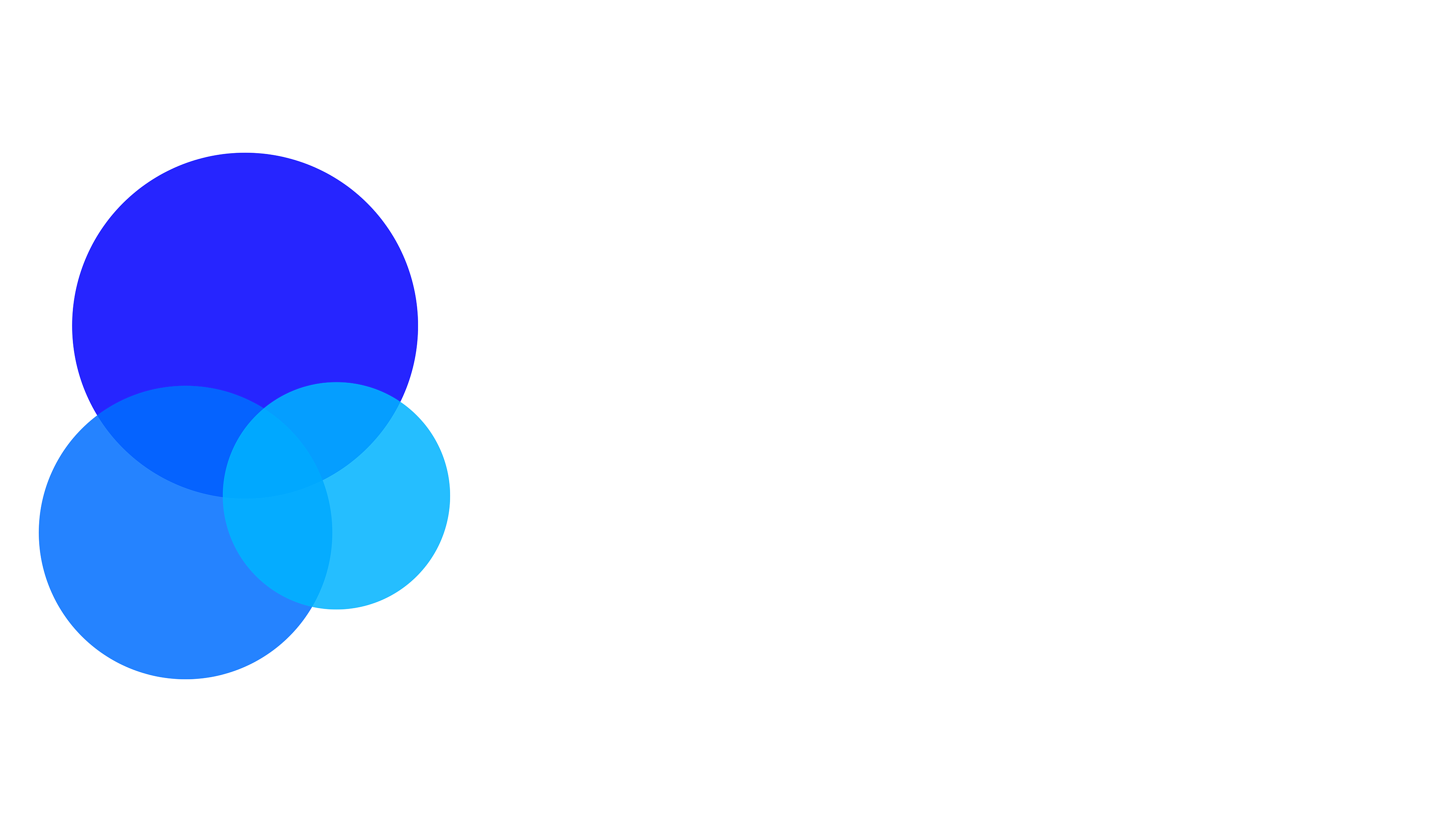 Website Logo